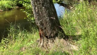 Rest by a river