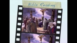 October 18th Bible Readings