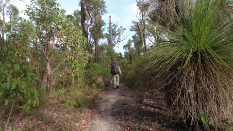 Bibbulmun Track part 21 Possum Springs To Yourdammung