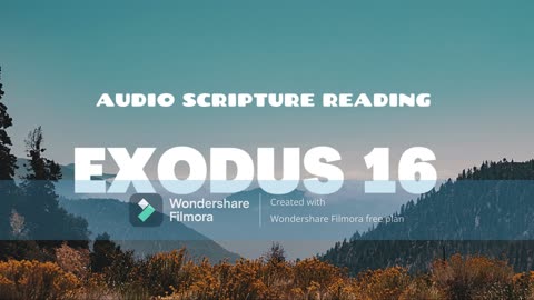 Exodus Chapter 16 - Day 66 of Walking Through The Entire Bible With Stony Kalango