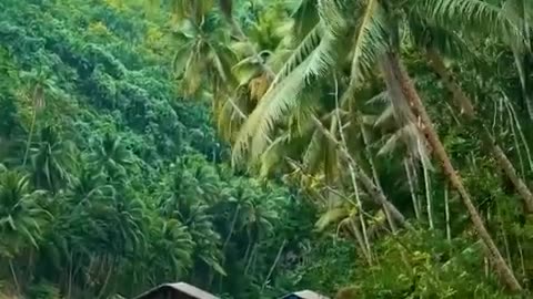 Beauty of Kerala