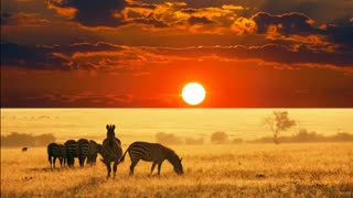 The Best Travel Destinations in Africa