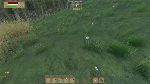 Medieval Engineers Survival 2.7 - Wild Wheat