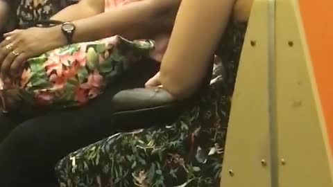 Lady singing loudly by herself in subway train