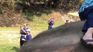 Woman tries to climb on top of elephant and falls off