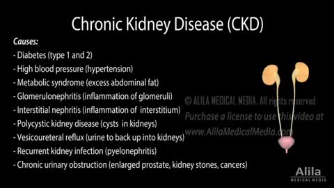 Chronic Kidney Disease, Animation (The Kidney Disease Solution)