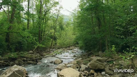 Relaxing Music in Nature