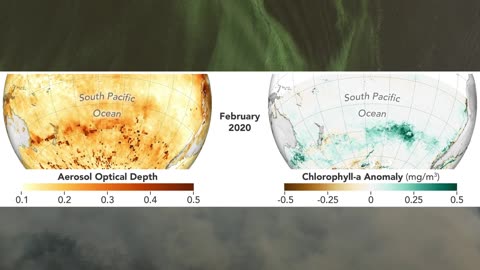 Tracking Carbon from Wildfires to Ocean Blooms