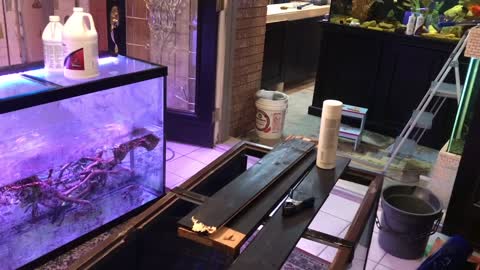 Part 4 aquarium 8 foot stand build