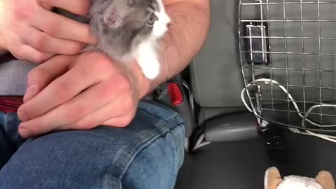 Donovan’s 1st Car Ride