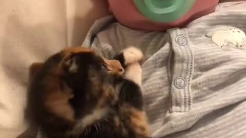 My cat try to play with my baby