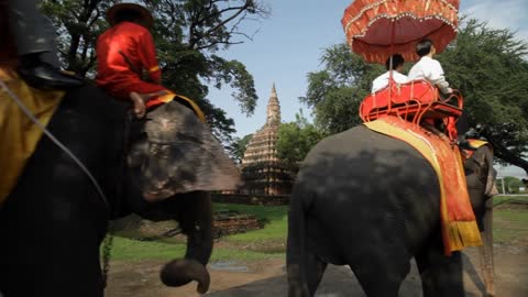 WS Elephants carrying tourists Ayutthaya, Thailand