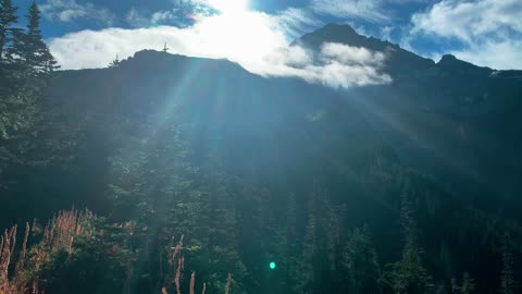 BITE-SIZED WILDS | A Radiant Glow Casting Across Mount Hood Basin! | Timberline Loop | Oregon | 4K