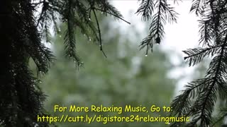 Relaxing Sound of Rain and Music in the Forest