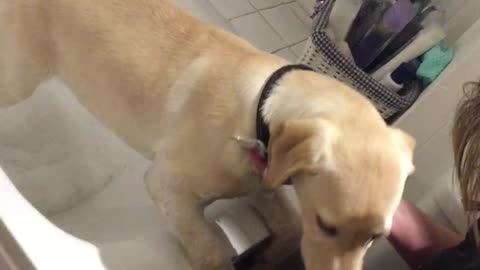 Puppy Gets a Bubble Bath