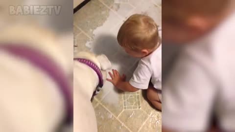 Bébés mignons jouant avec des chiens et des chats