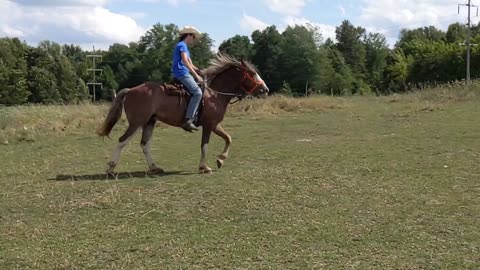 Hank fox trotting for Joel - slow motion - 28 July 2022