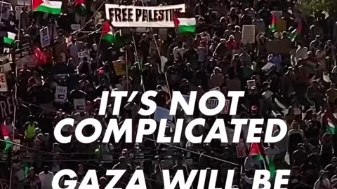 US Pro Palestinian Protests - its Not Complicated