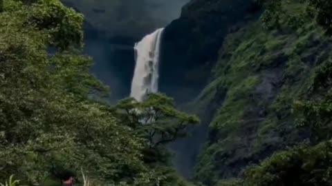 Beautiful Water Fall