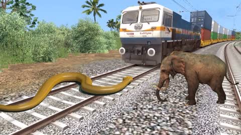 Animal Funny Train Vfx Video