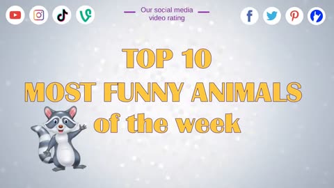 10 Funniest Animal Videos - Funny Pet Videos