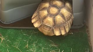 Edgar doesn’t quite fit in this bin anymore