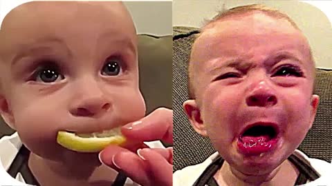 Babies Trying Lemons For The First Time Compilation