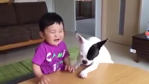 The puppy eats his food