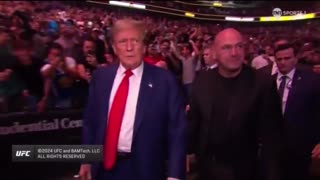 Their Plan Has Backfired | Huge Support For Trump At UFC
