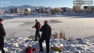 Cão é resgatado de lagoa congelada em Montana