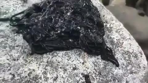 Black goo?