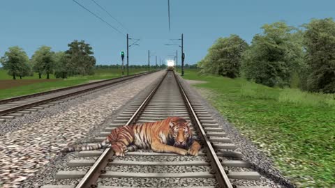 Tiger & monkey on track vs Train and stops the train - Train Simulator_Cut.mp4