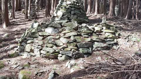 A stone tower in the forest that purifies me.1