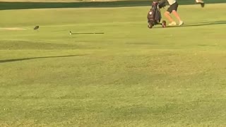 Golfers Have Bout with Birds