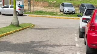 Curtindo uma tarde na praia de Quatro Ilhas, Bombinhas - SC | Som Ambiente