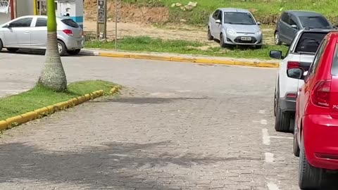 Curtindo uma tarde na praia de Quatro Ilhas, Bombinhas - SC | Som Ambiente