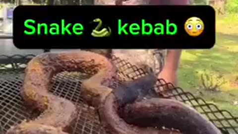 Snake kebab