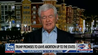 Newt Gingrich defends Trump's stance on abortion: