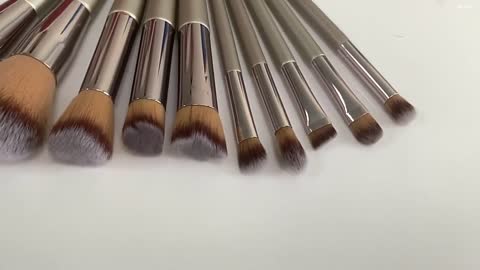 Professional 12 Makeup Brush Sets
