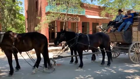 Columbia State Park June 2021 carriage ride, restaurant