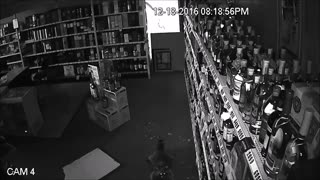 Rogue Raccoon Breaks into a Tennessee Liquor Store