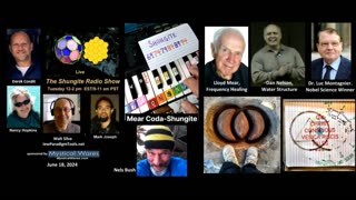 SHUNGITE REALITY 6-18-24 - Enerology from Water to Cosmic Library