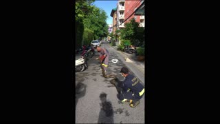 Snake Climbs Four Stories into Apartment Building