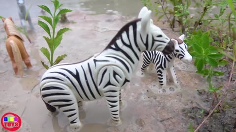 Safari Wildlife Animal with Underwater Truck