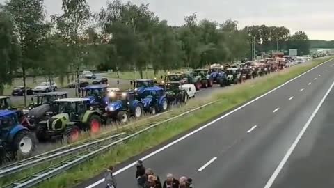 Dutch farmers blockade highways to protest green policies shutting down farms