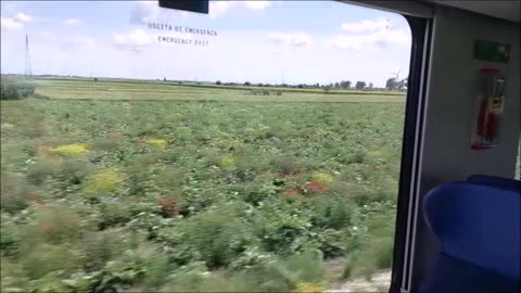 Taking a Train through the Countryside of Italy from Faeto to Lecce