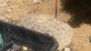 Prospecting gold in the Rocky Mountains of Colorado