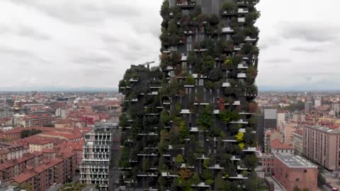 Building covered in plants