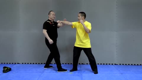 Kung Fu Techniques: Praying Mantis Form Applications - Part 1