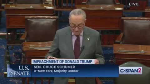 Schumer Accidentally Says "Senators Will Have To Decide If Donald John Trump Incited The Erection"